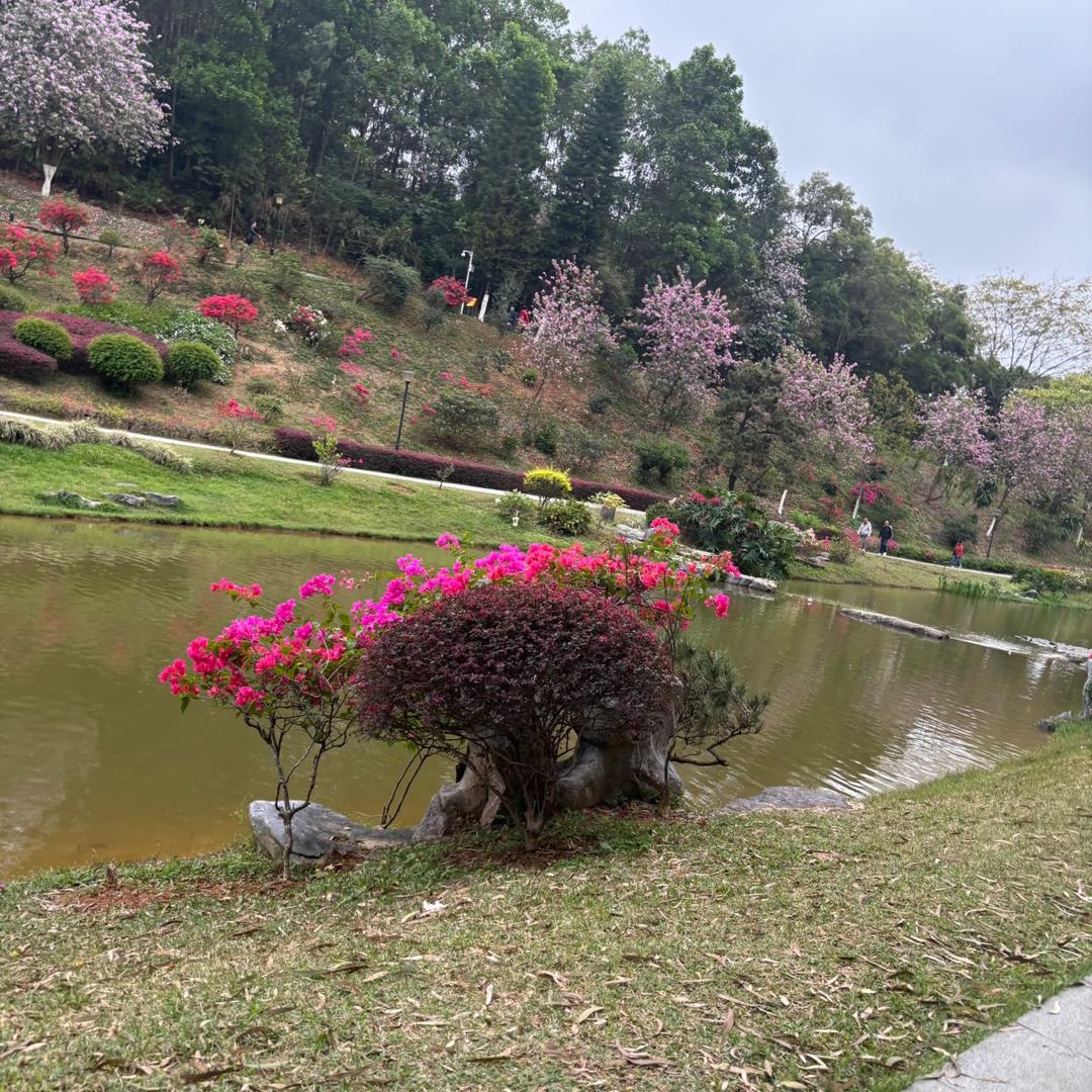 嘟嘟1