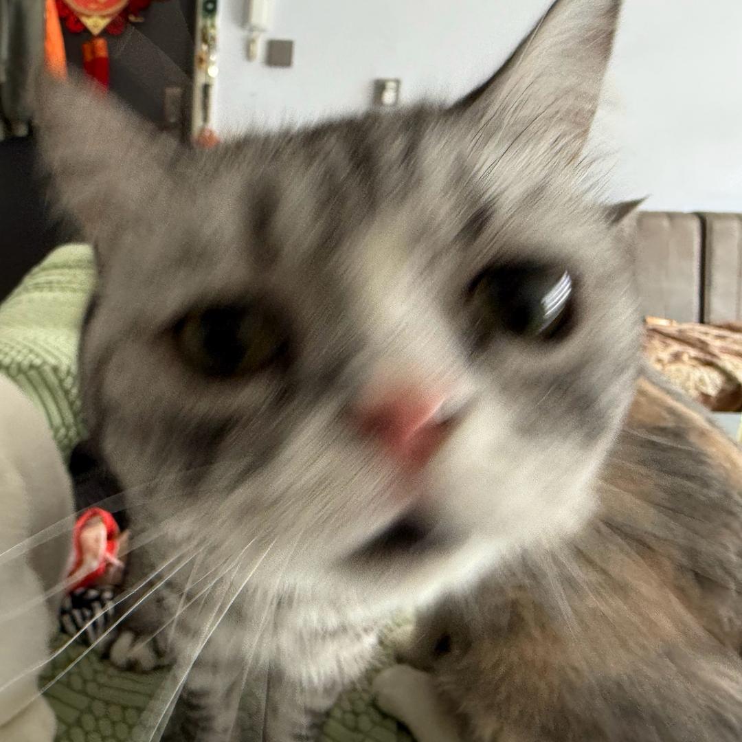 心事全在脸上🚶‍♂️