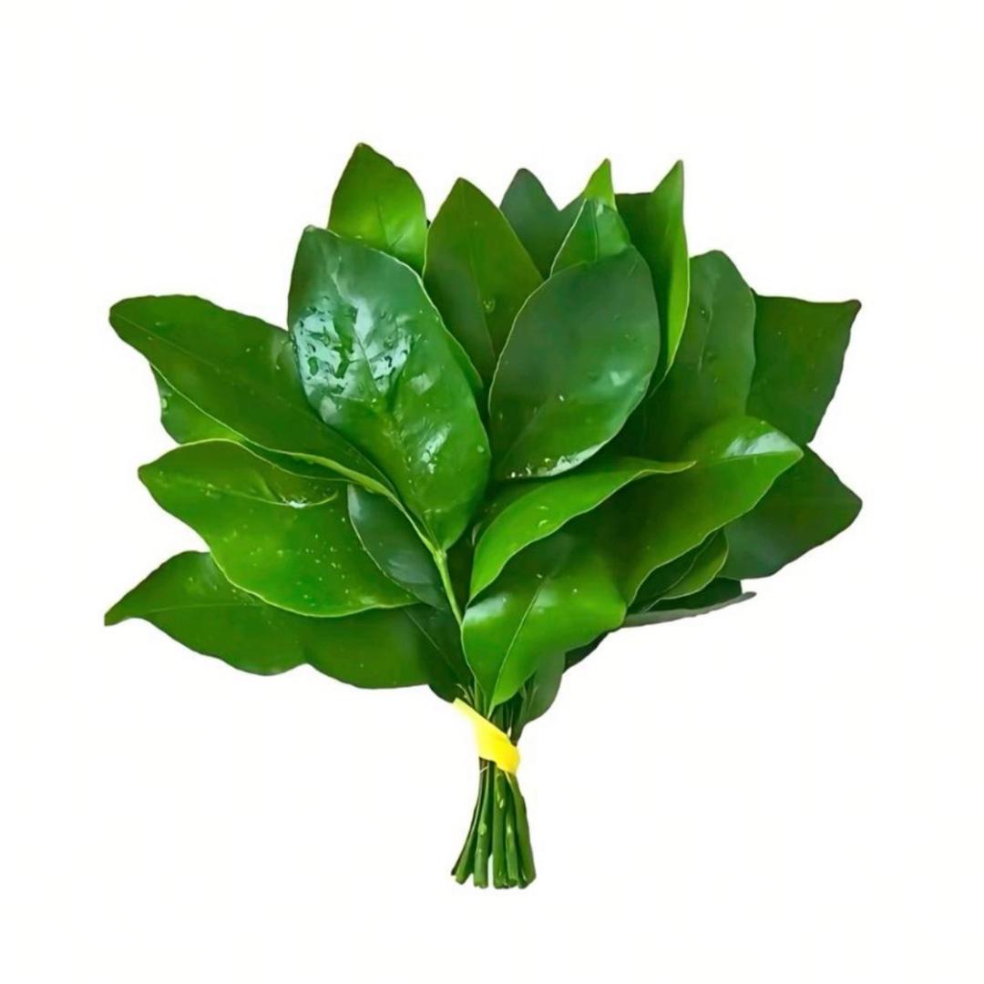 ·