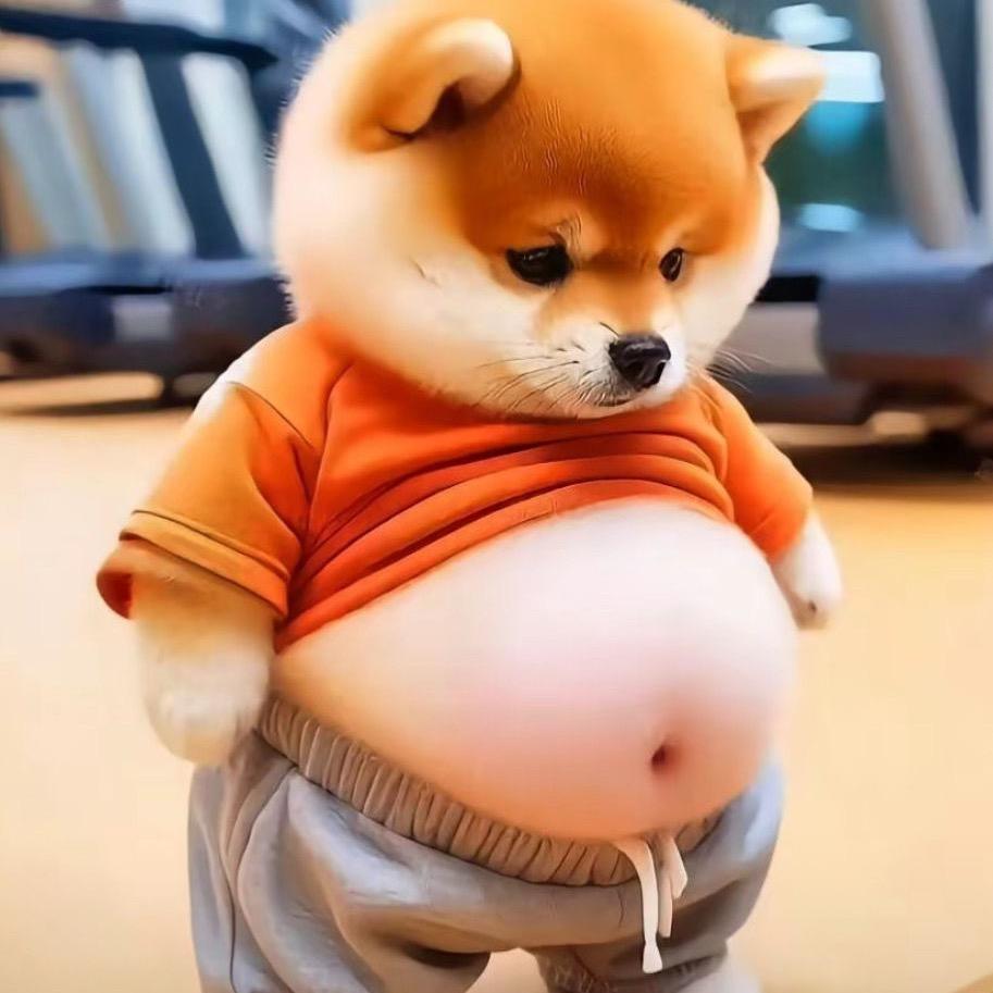 明天会更好