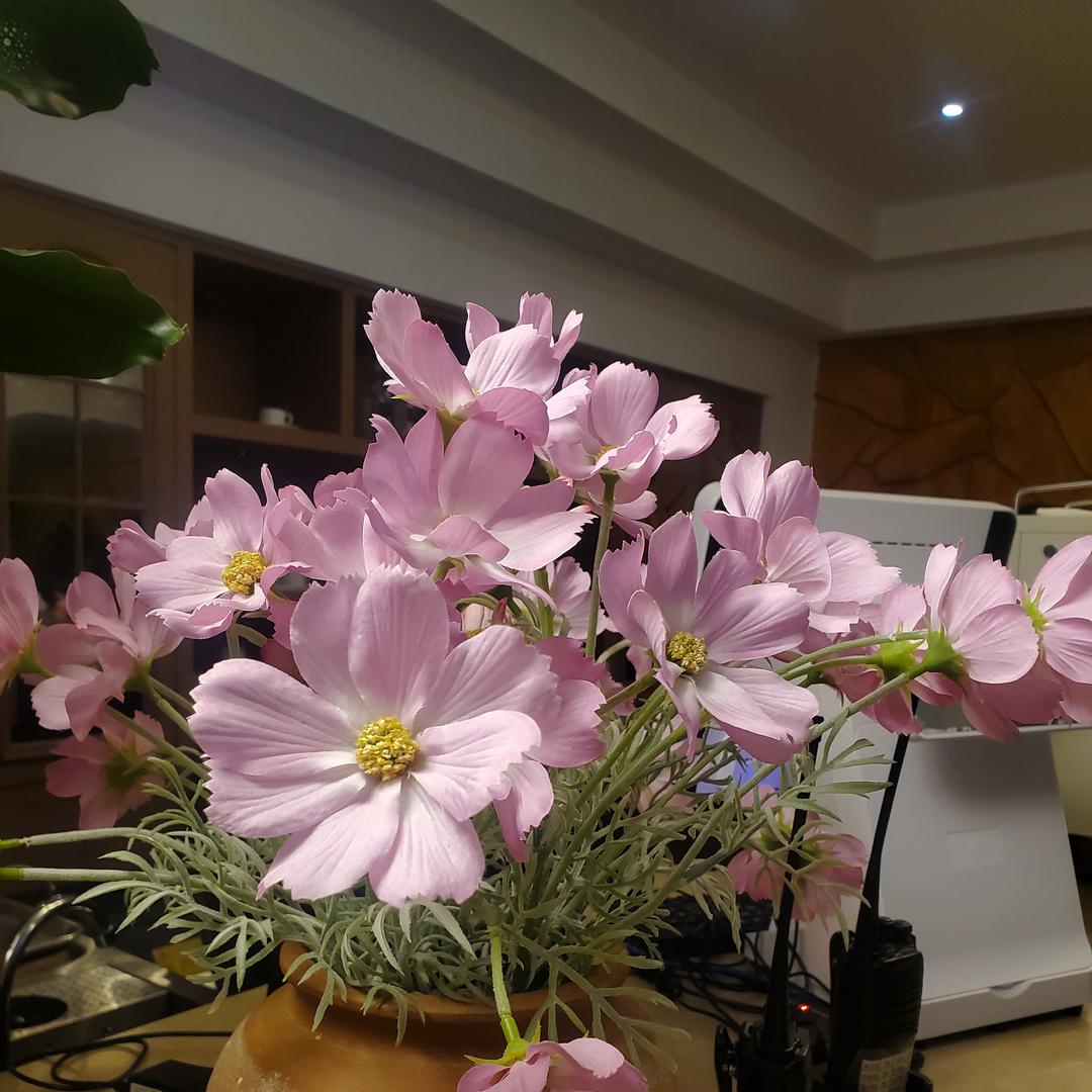 连州高福全屋定制