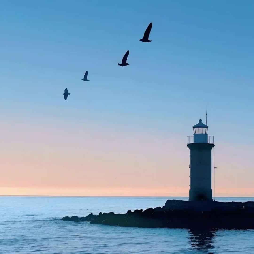 智慧文化臻选阁