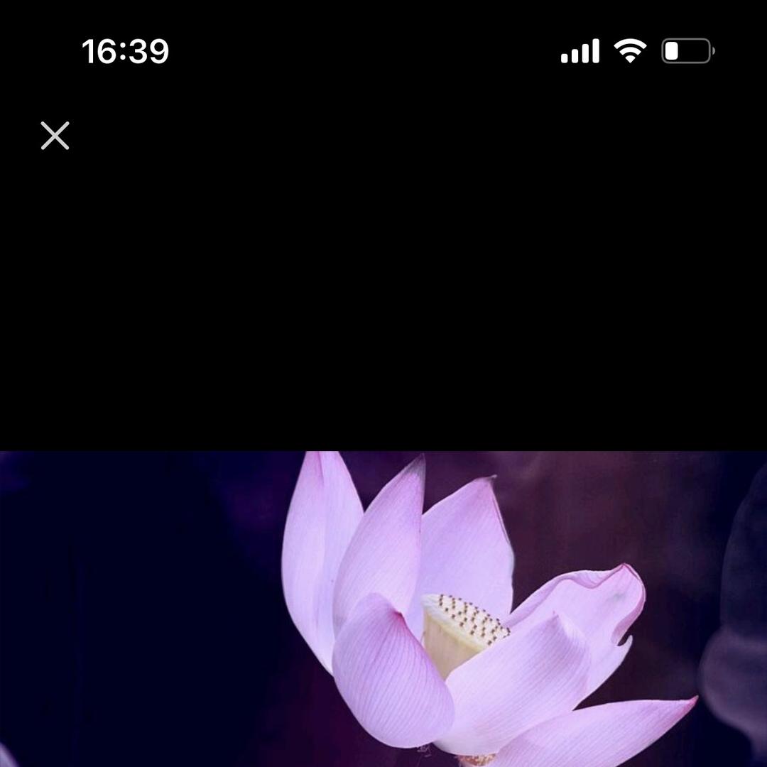 猜时