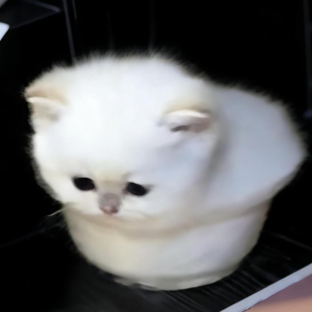 呆拌饭