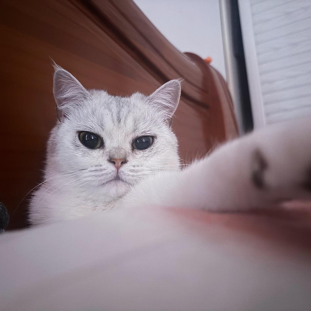 𓆡 𓆜 𓆝 𓆜  𓆝