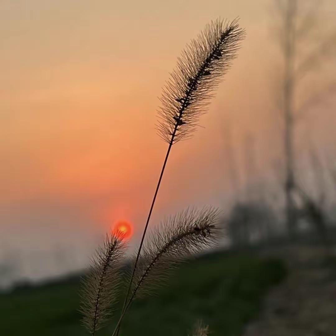 故梦🎐