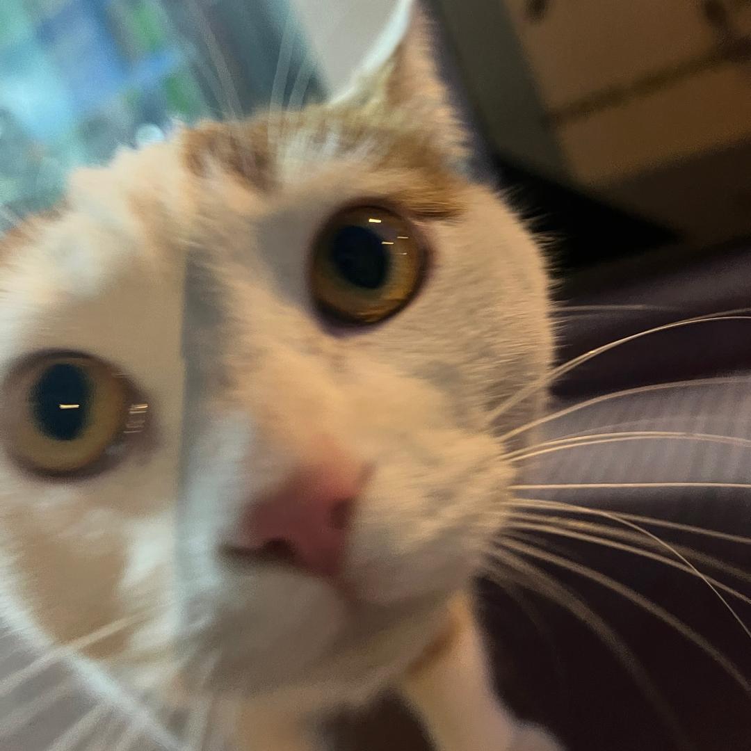 小烦📷