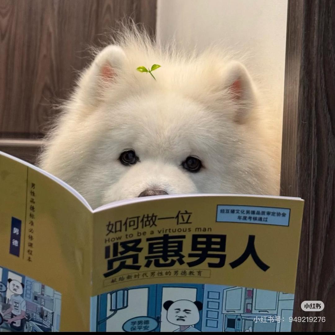随便🌈