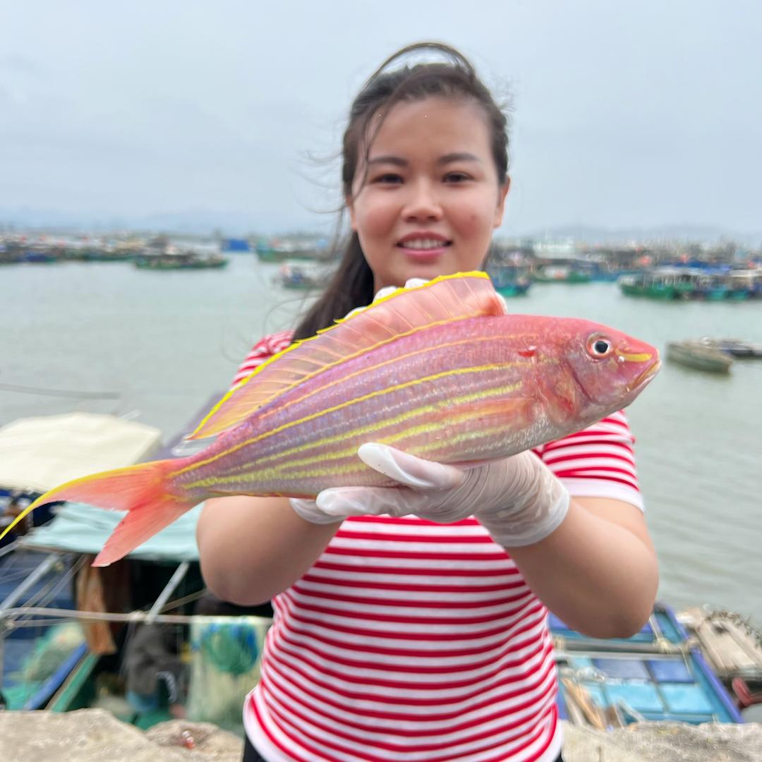 阿婷海味批发