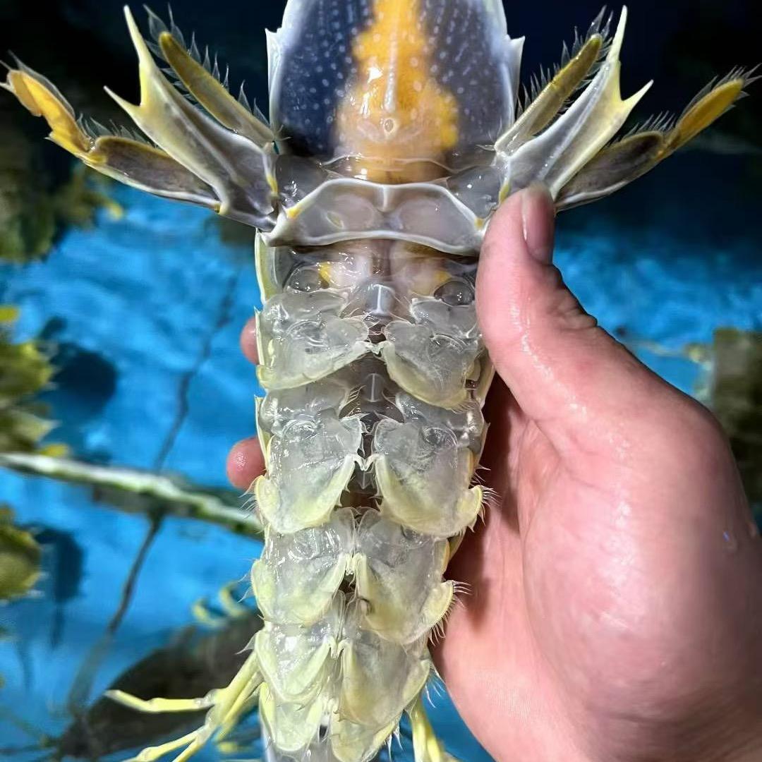 泰兴旺泰海鲜
