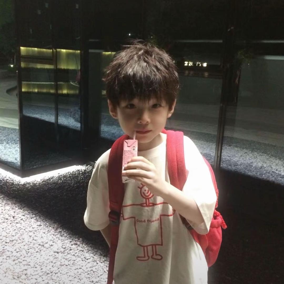 The Little Prince 👑