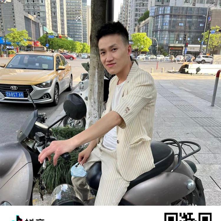 网络文学家、小说、散文，作家