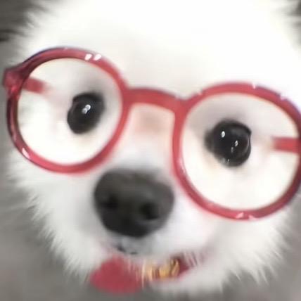 油达迪