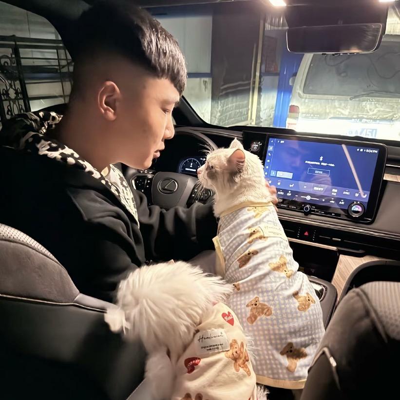 雪下紫禁城