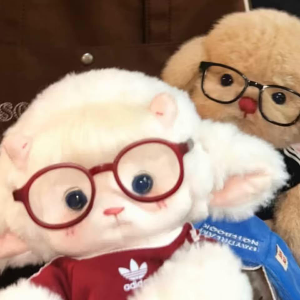 Loioi 🐾️