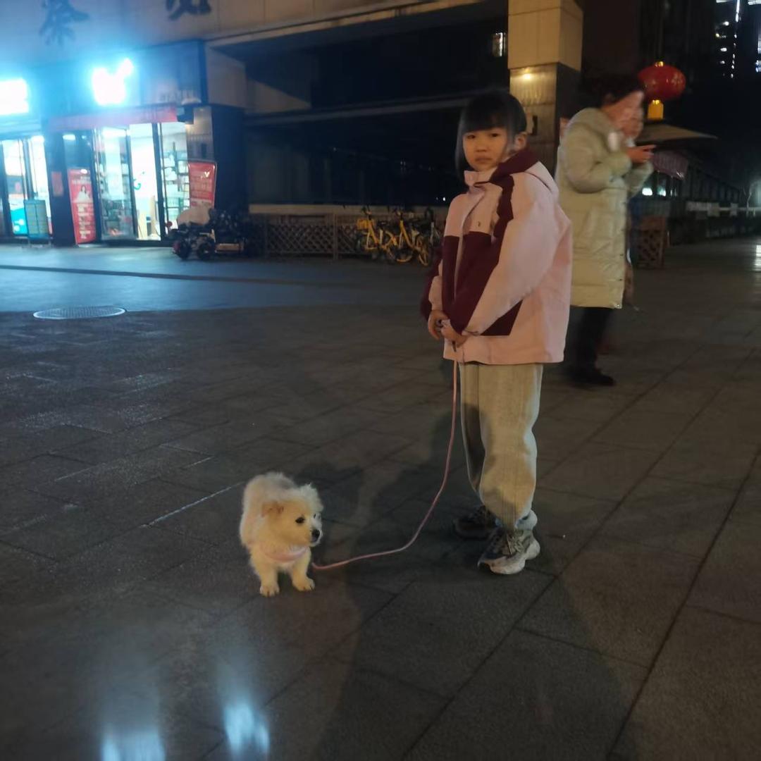 奶酪粉丝