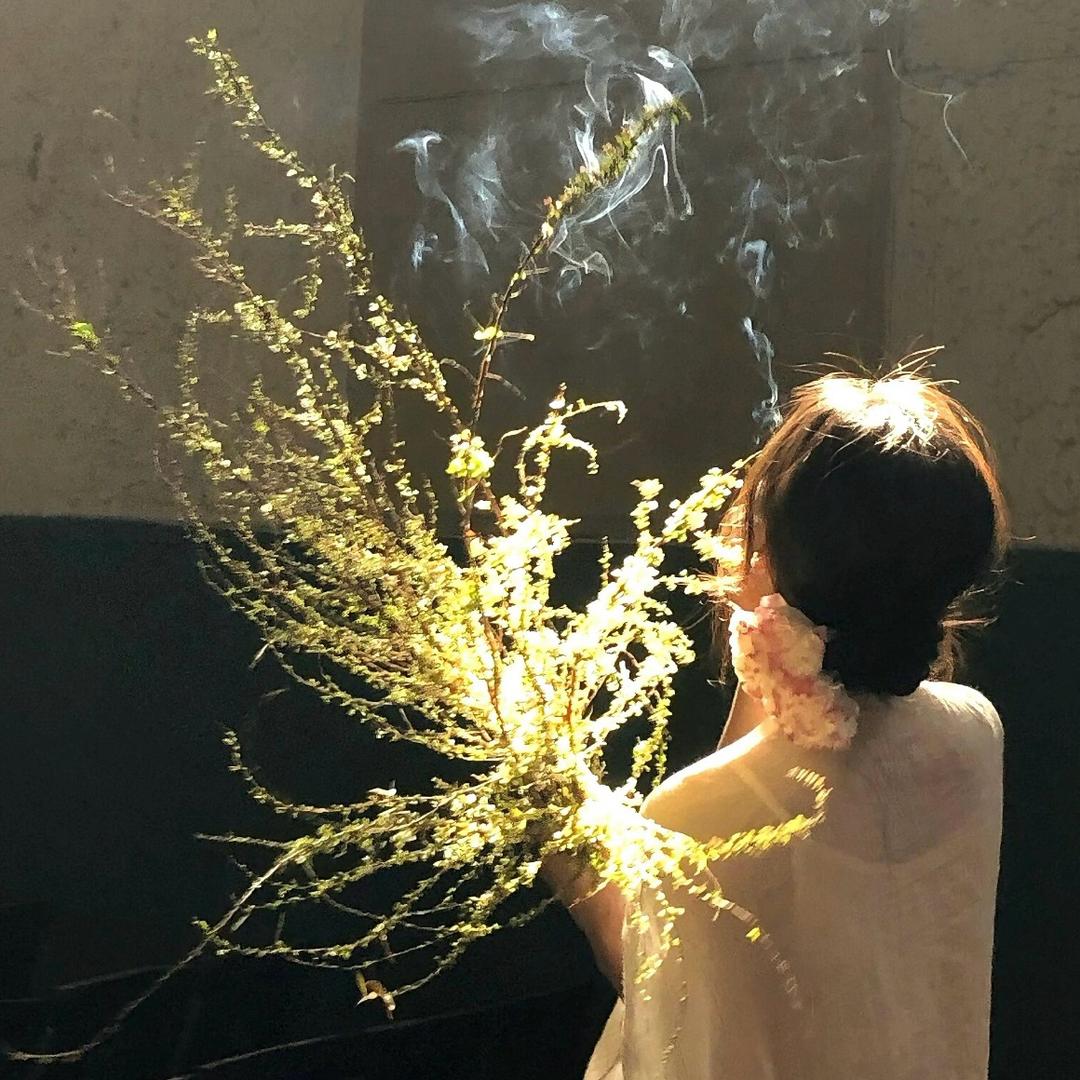 桑葚能看书