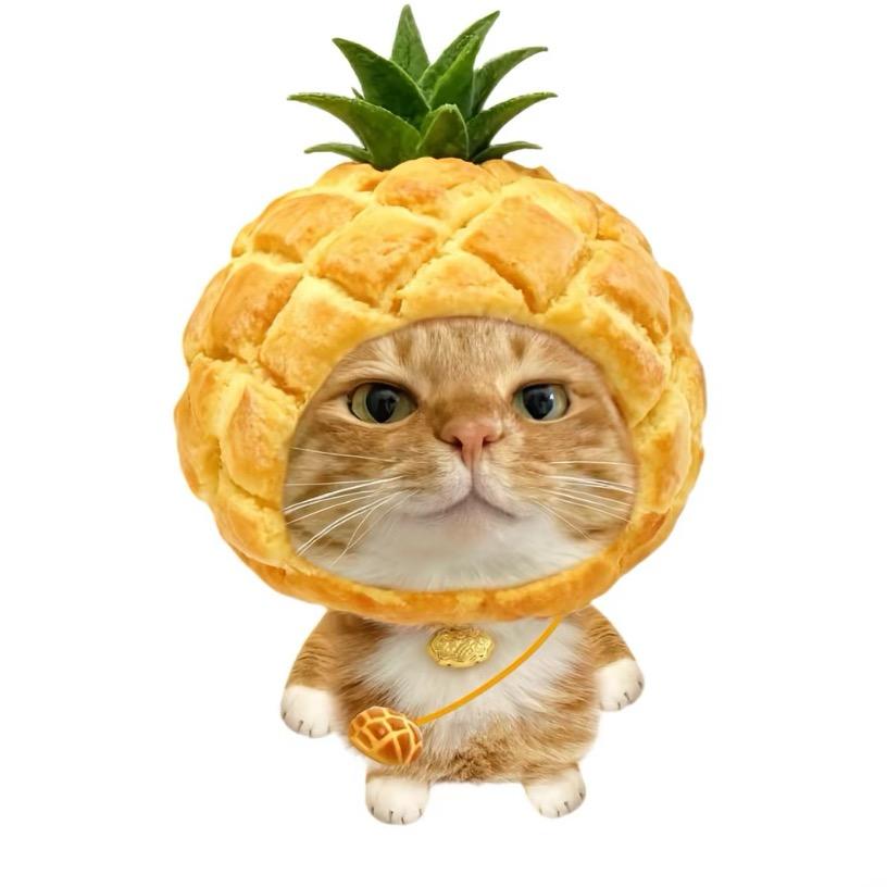 Y1n0l_