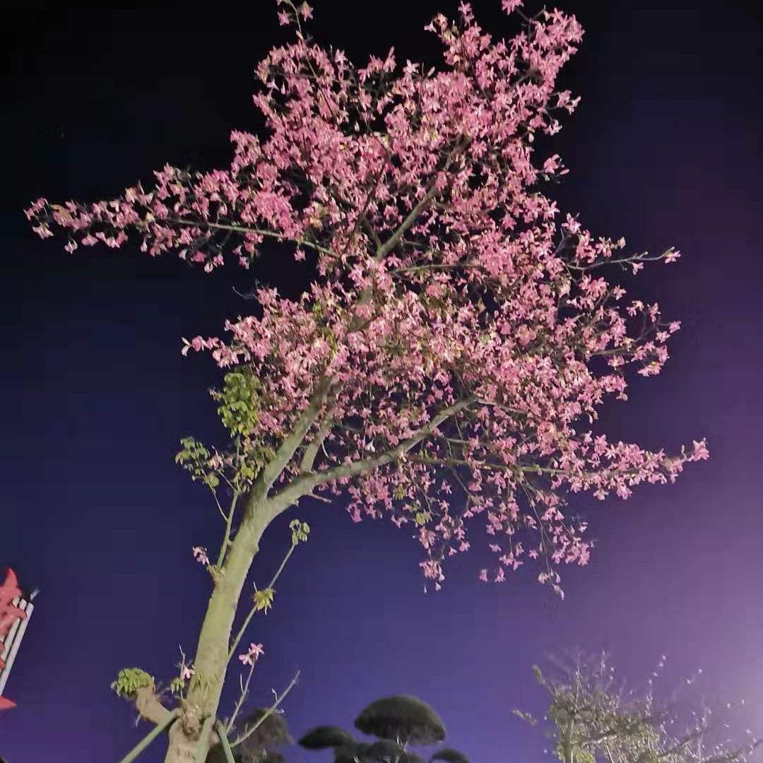 我有个好朋友😘