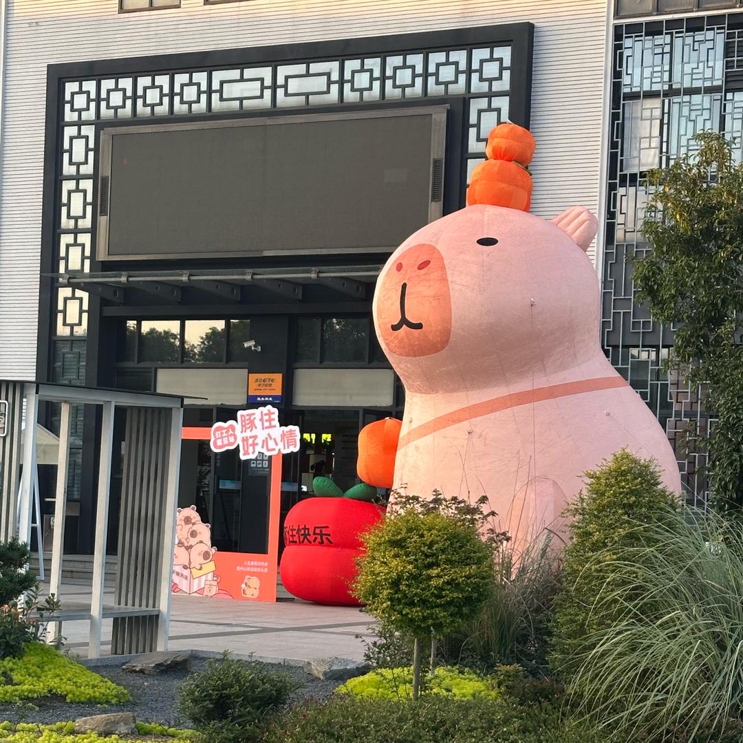 厨房收纳小能手