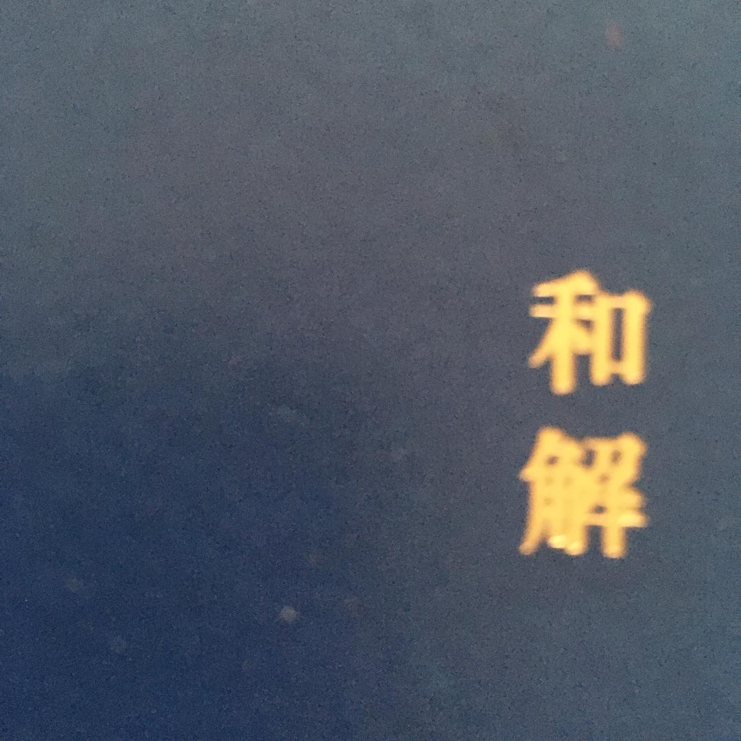 鸡毛掸子