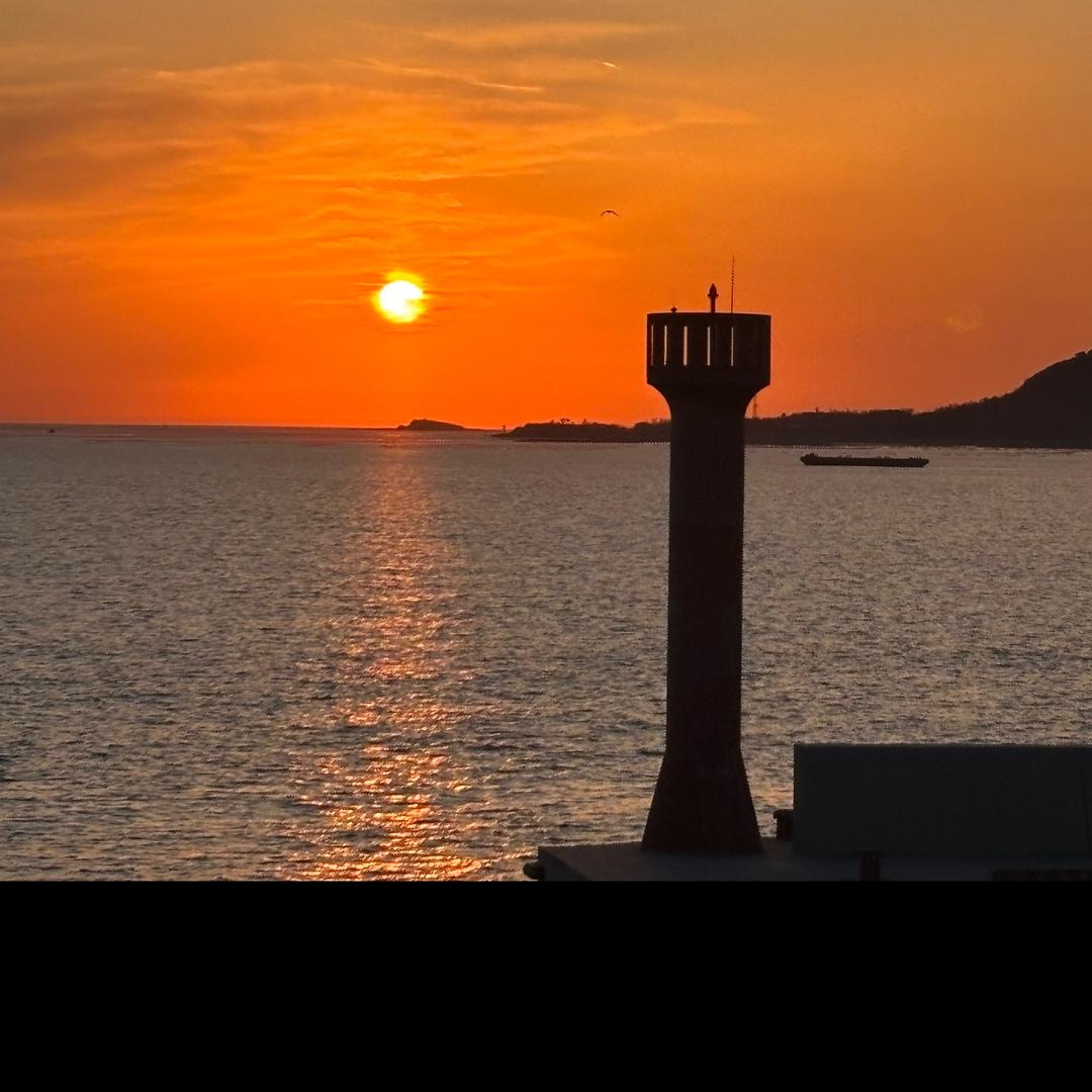 去码头整点薯条吗