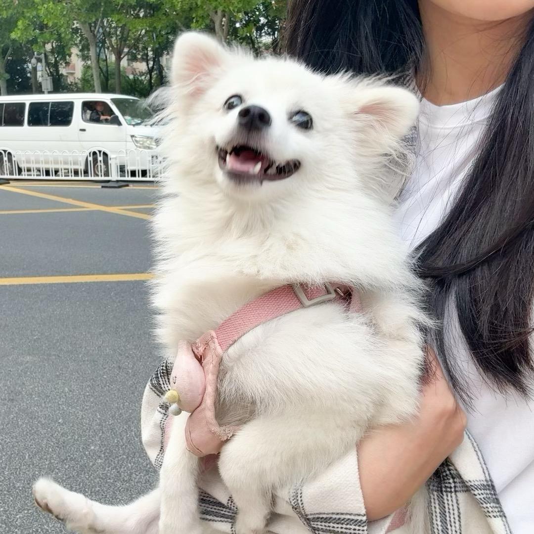 钟看又钟用