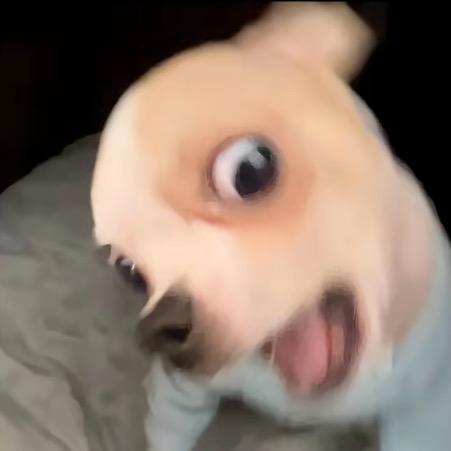 (≧▽≦)