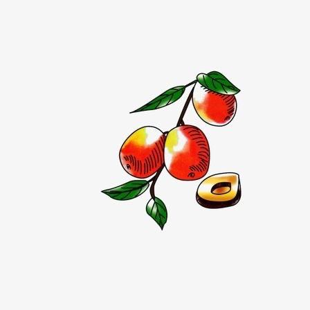 天山疆龙果业
