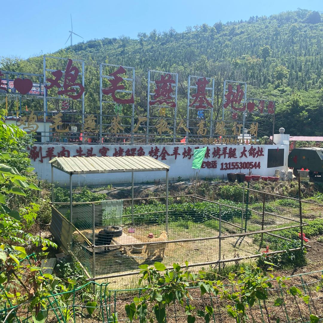 鸡毛燕公司团建活动承办基地