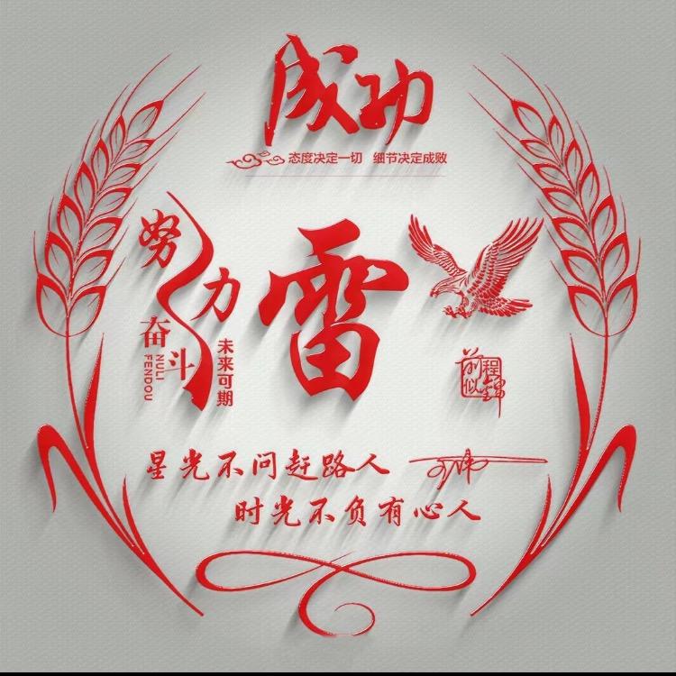 诚信卖🚗轮胎的雷哥