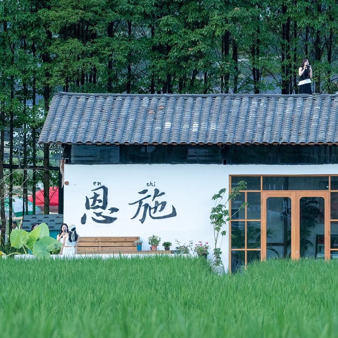 恩施植物硒