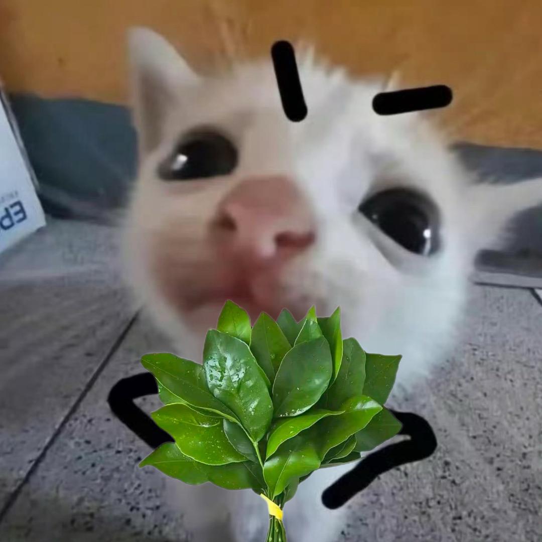 怎么吃才会饱