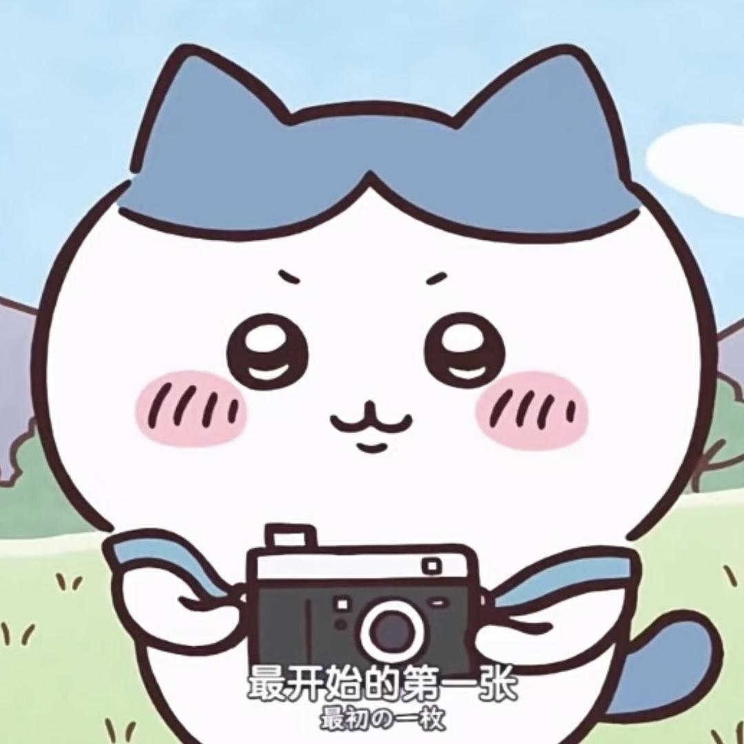 毫無人性的相機