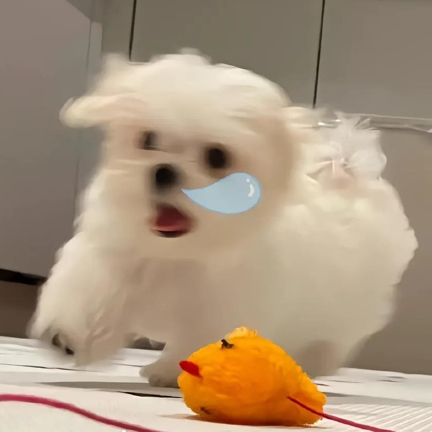 （：