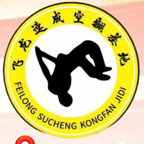 飞龙空翻刘教练
