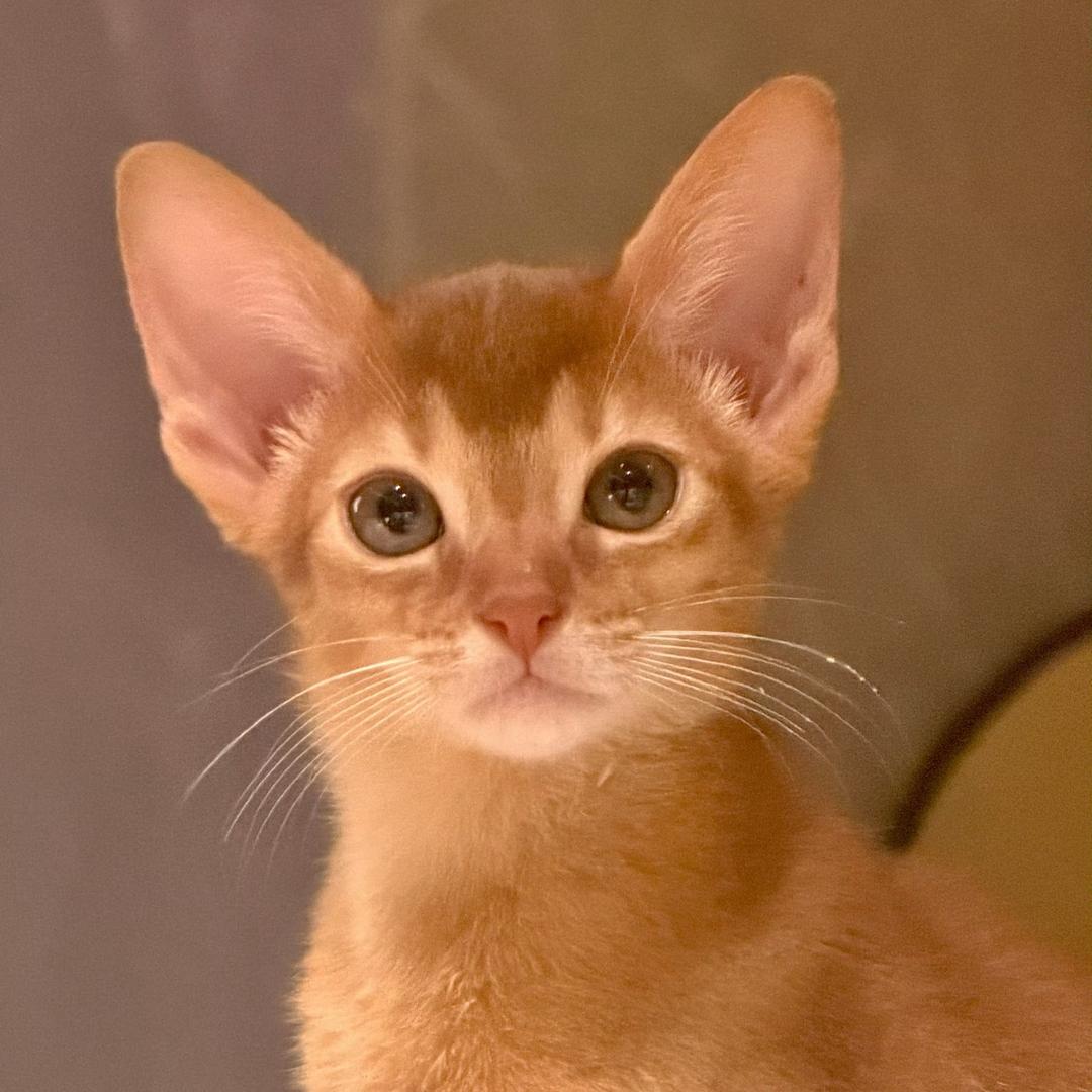 哈哈哈哈哈哈哈