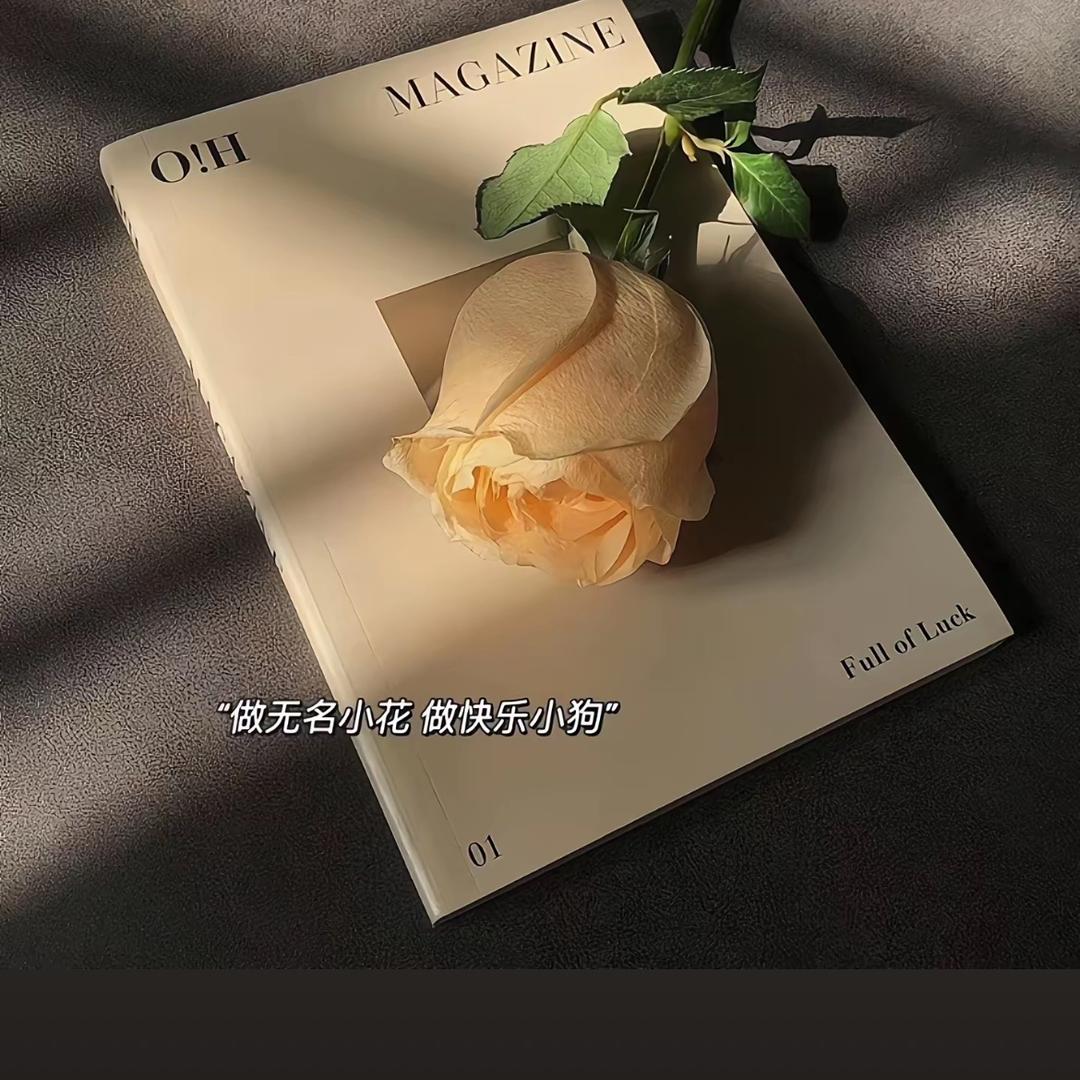 嘟不温柔（收银日常）🏖️