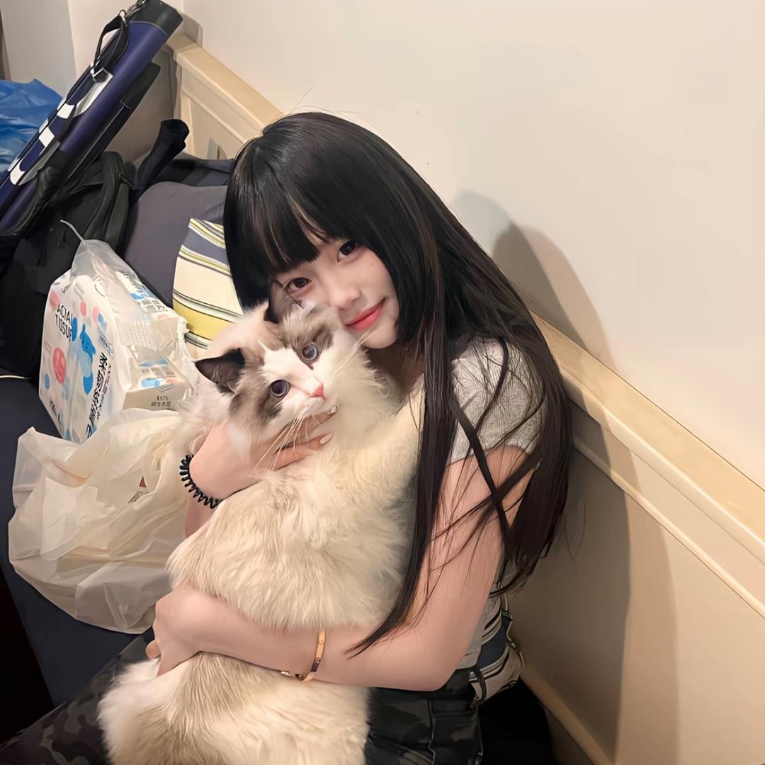 白山茶iou