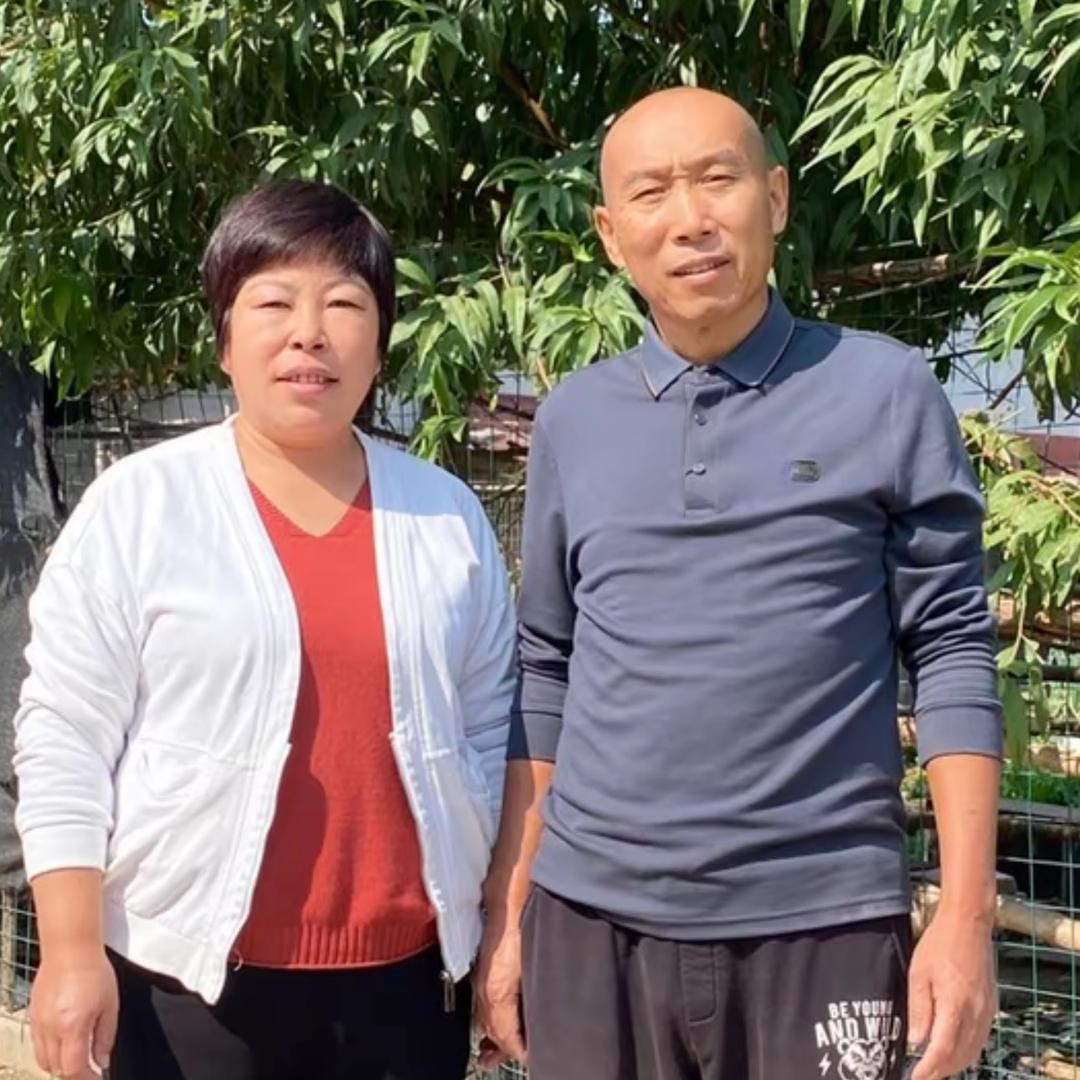 秋宝婆婆