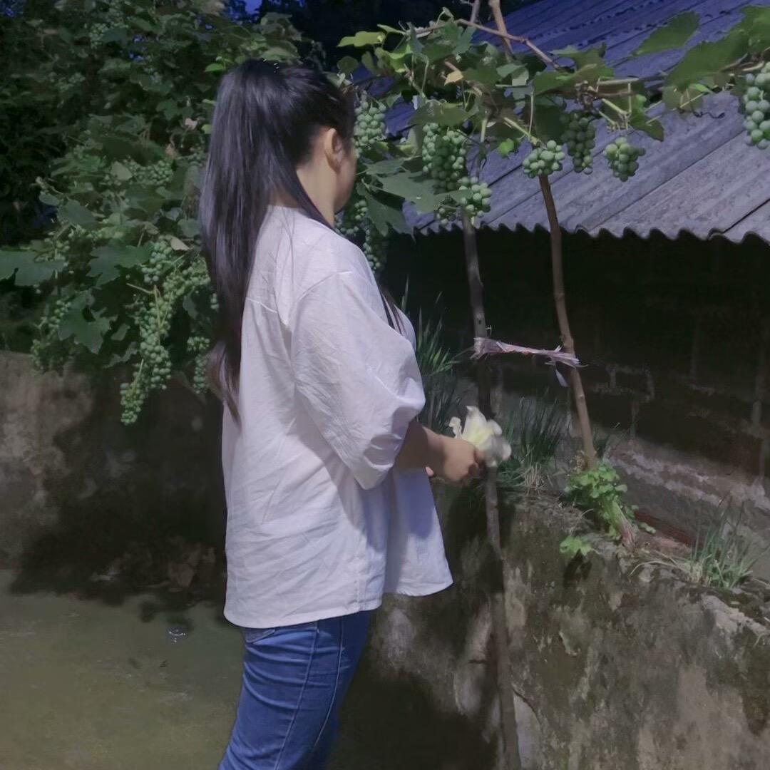 宝吖
