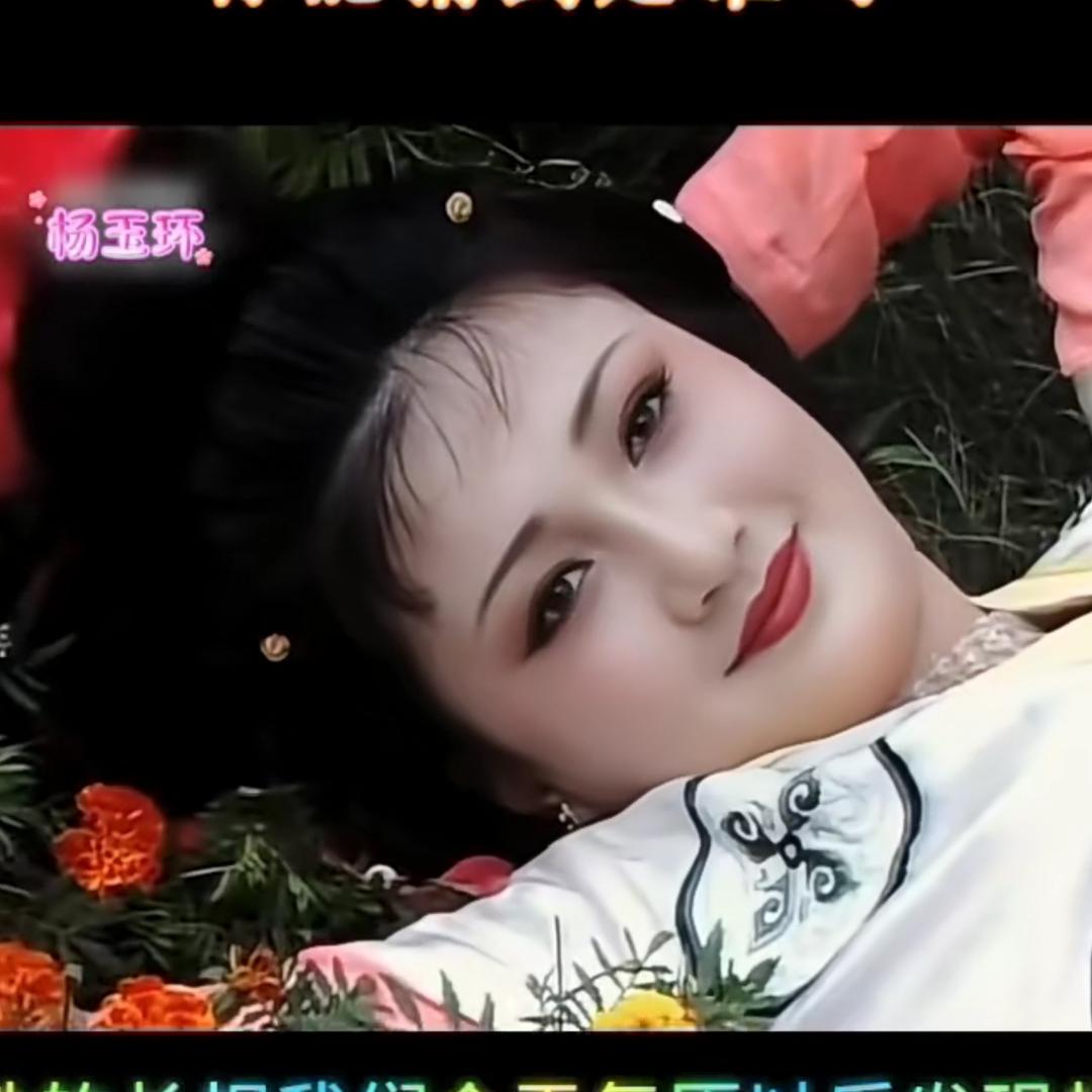 尹金豆豆