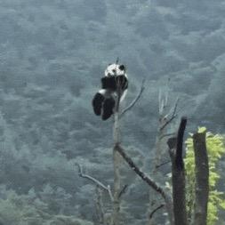 神一般的男人