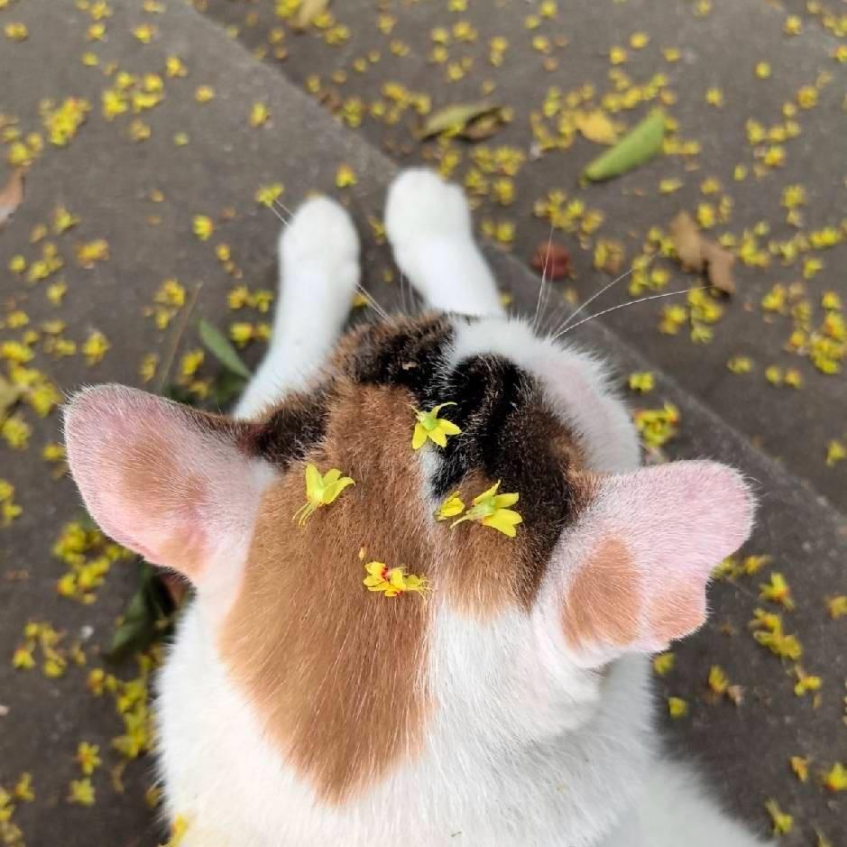 持枪.