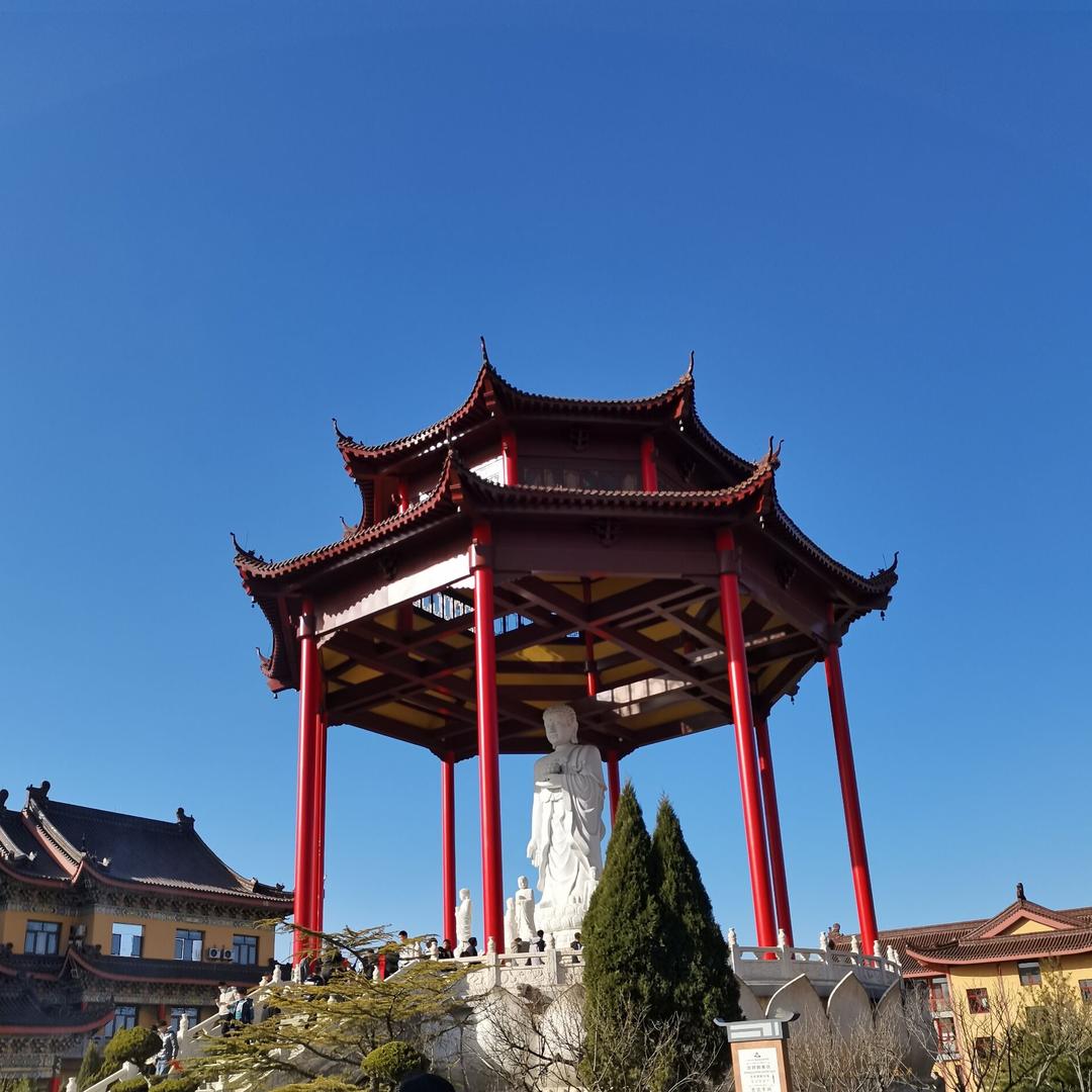 飞羽师兄