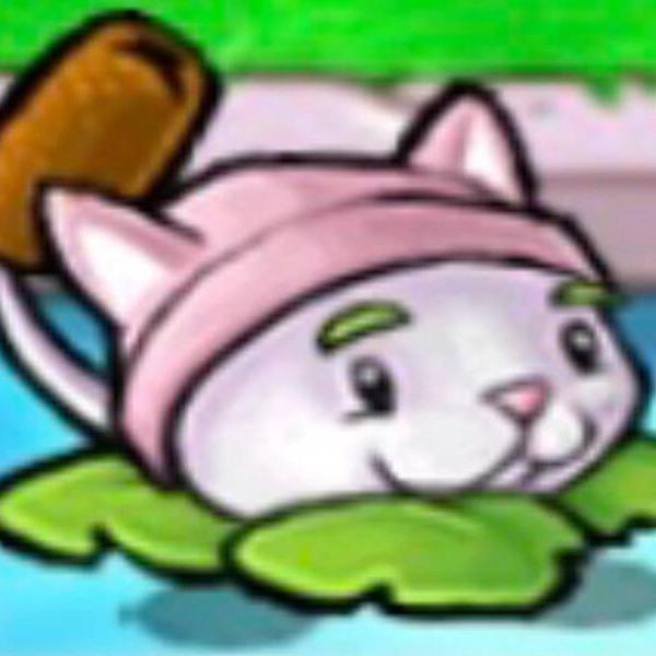 猫尾草^