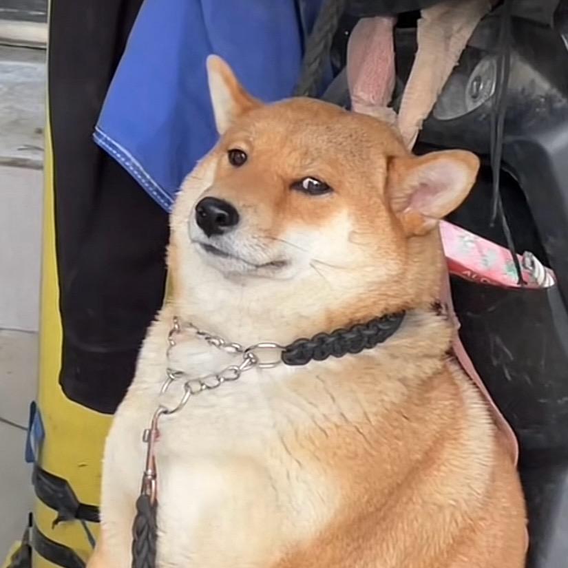 Ｒ