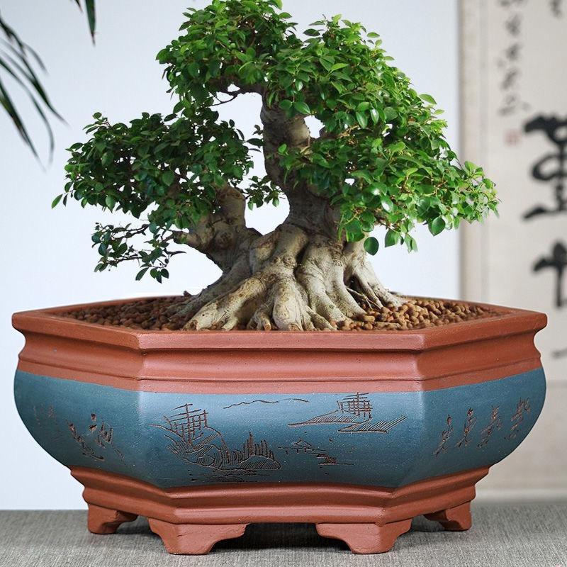 笙玖缘陶瓷