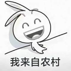 搁浅大玉123