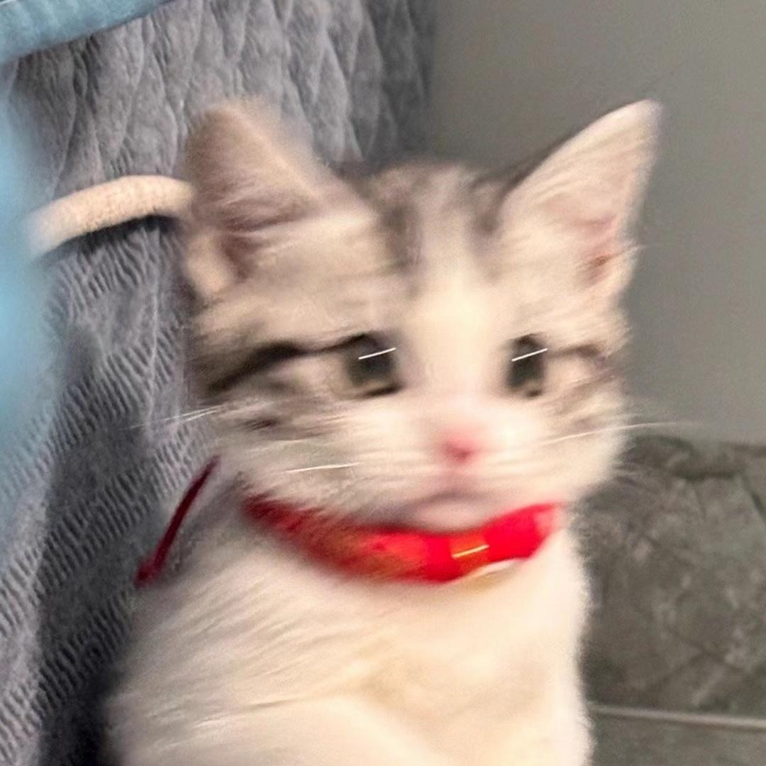 uui
